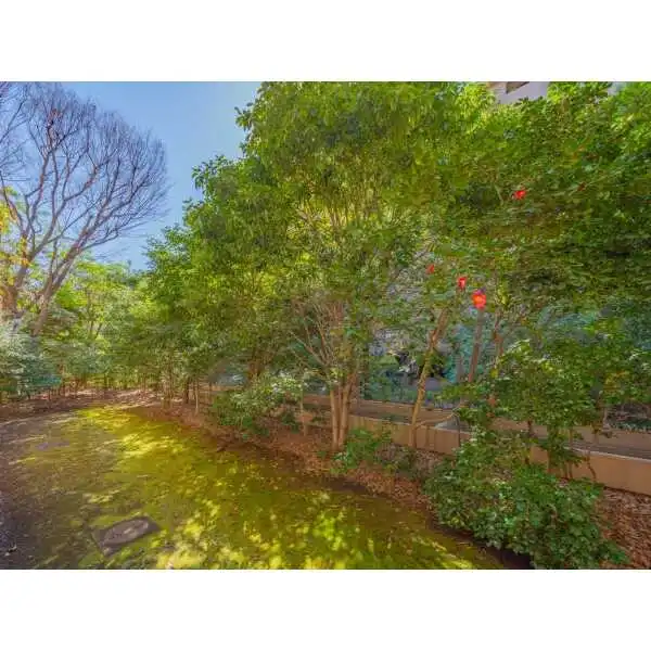 広尾ガーデンヒルズノースヒルＮ棟 その他画像