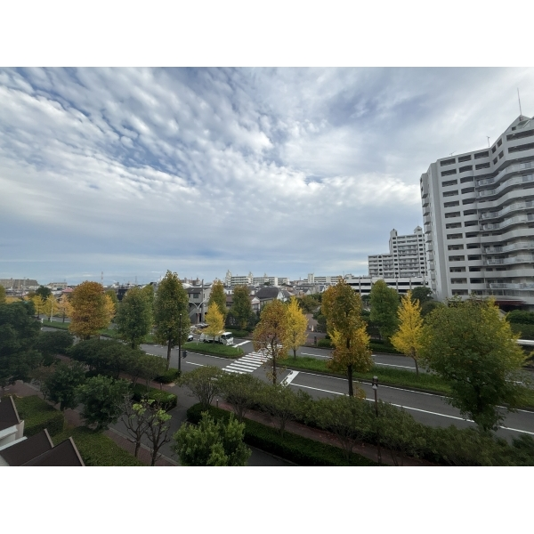 セソール川崎京町ハイライズフォースピア その他外観