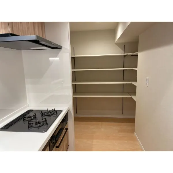 セソール川崎京町ハイライズフォースピア　 収納