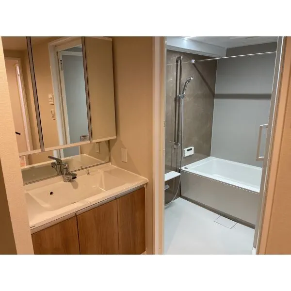 セソール川崎京町ハイライズフォースピア　 洗面室