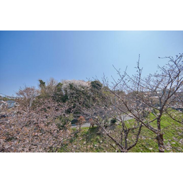 ガーデンハイツ鎌倉高校前 その他画像