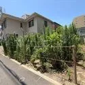 名古屋市中区伊勢山２丁目 現地－３（２０２４年７月撮影）