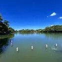 大田区南千束３丁目 その他画像