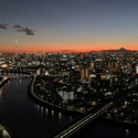 シティタワー金町タワー棟 その他画像