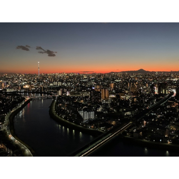 シティタワー金町タワー棟 その他画像