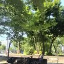 板橋区高島平７丁目 徳丸ヶ原公園 130m