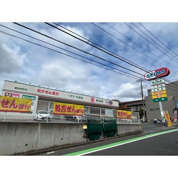 さいたま市南区別所1丁目 ドラッグセイムス 浦和岸町店(ドラッグストア)まで約330m(徒歩5分)