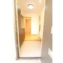 柏市篠籠田 その他画像