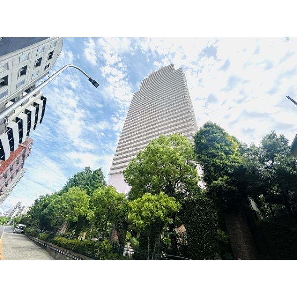 リバーカントリーガーデン京橋 外観