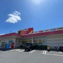 藤沢市菖蒲沢 ツルハドラッグ藤沢菖蒲沢店（ドラッグストア）まで約1500m（徒歩19分）