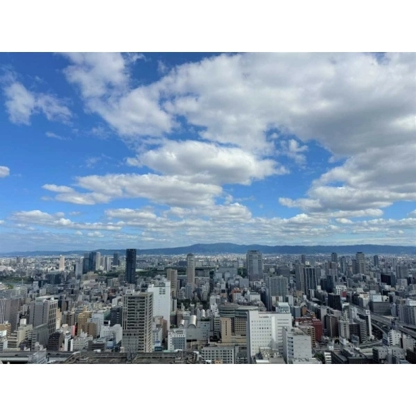 シティタワー大阪本町 その他画像