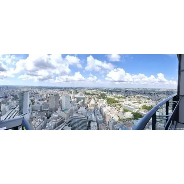 ＴＨＥ　ＹＯＫＯＨＡＭＡ　ＦＲＯＮＴ　ＴＯＷＥＲ その他画像