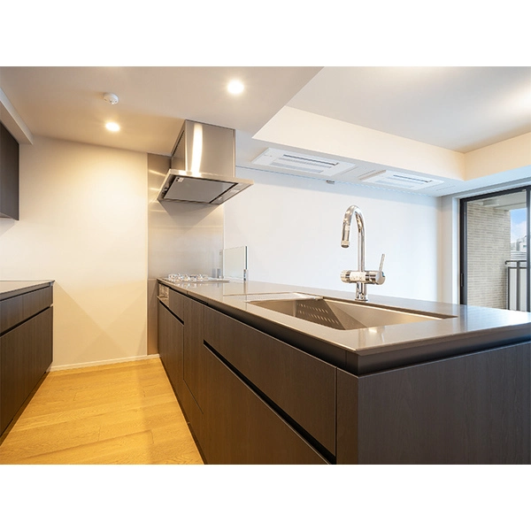 ザ・パークハウス千代田六番町 その他画像