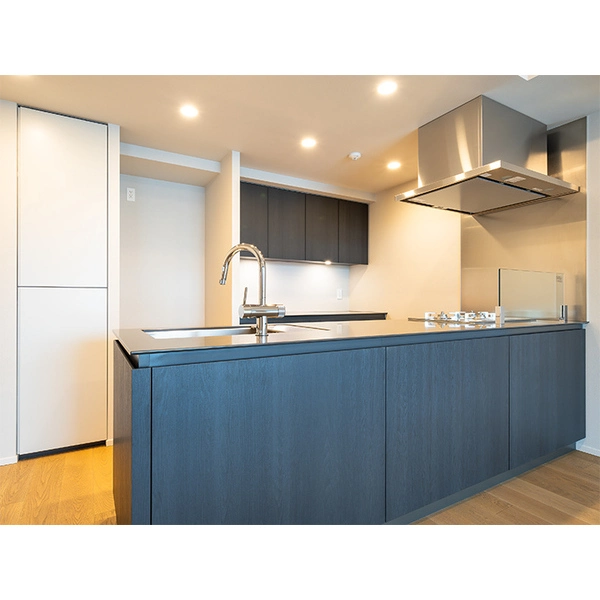 ザ・パークハウス千代田六番町 その他画像