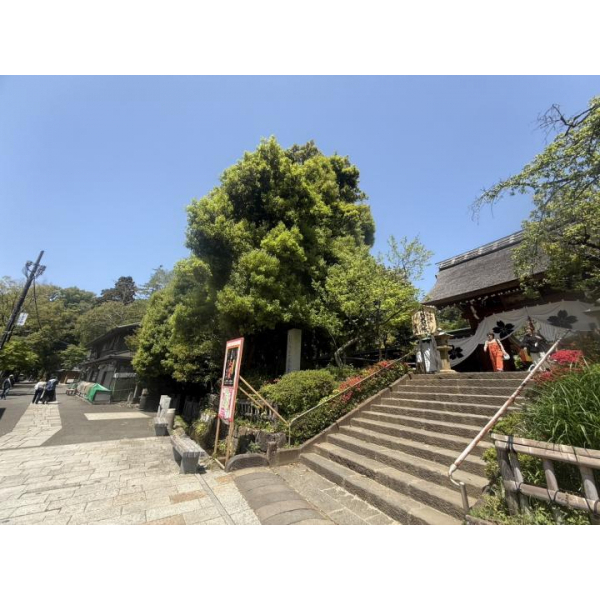 調布市柴崎１丁目 その他画像