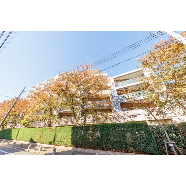 ＤＣオーベル弦巻 その他画像