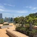 白金ザ・スカイEAST棟 スカイテラス