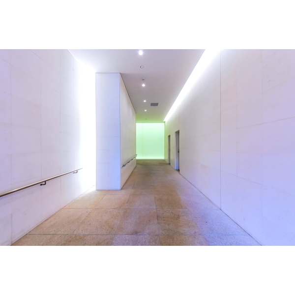 ライオンズタワー柏 その他画像