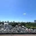 ウィルローズ王子 その他画像
