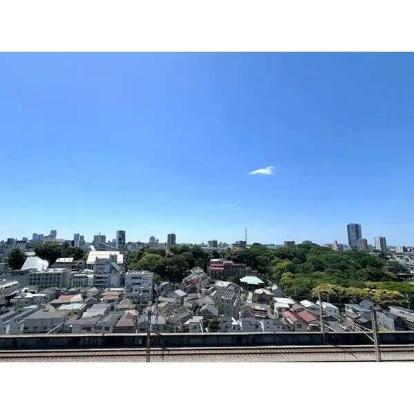ウィルローズ王子 その他画像