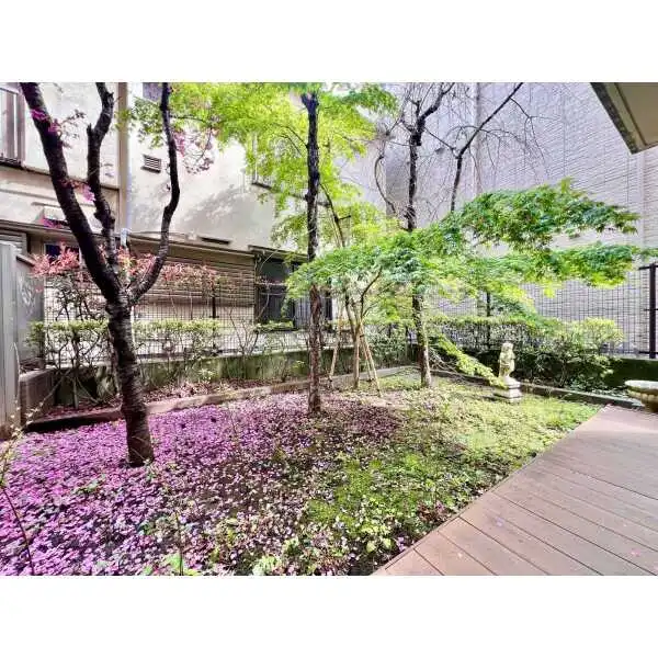 アルカンシエール白金 その他画像