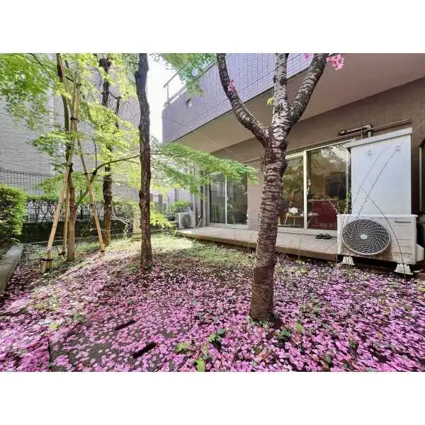 アルカンシエール白金 その他画像