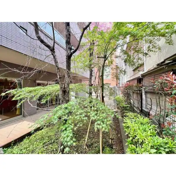 アルカンシエール白金 その他画像