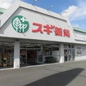 厚木市温水西２丁目 スギ薬局厚木恩名店（ドラッグストア）まで約1200m（徒歩15分）