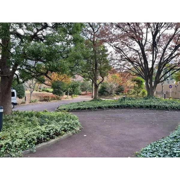 多摩川ハイム3号棟 中庭