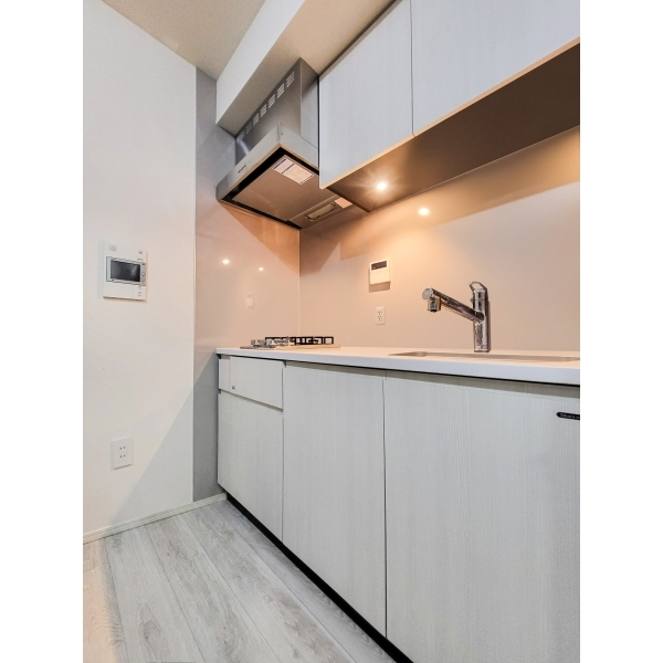 ライオンズ東京菊川ミレス その他画像