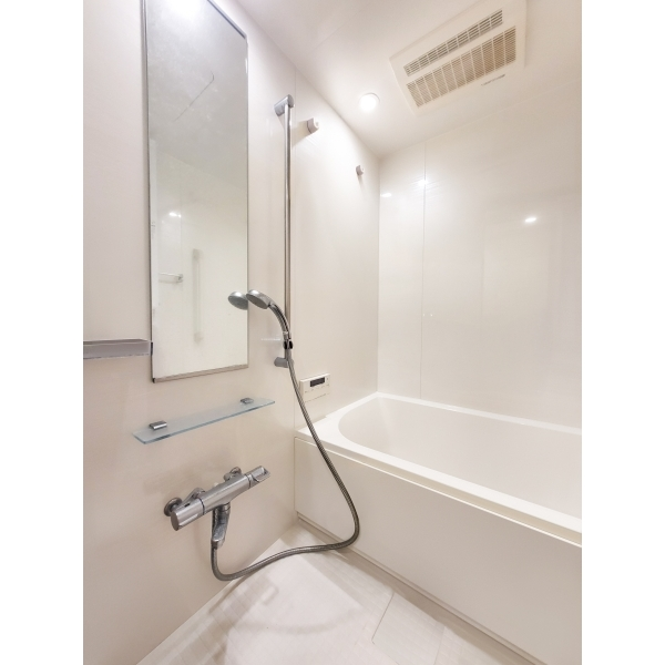 ライオンズ東京菊川ミレス その他画像