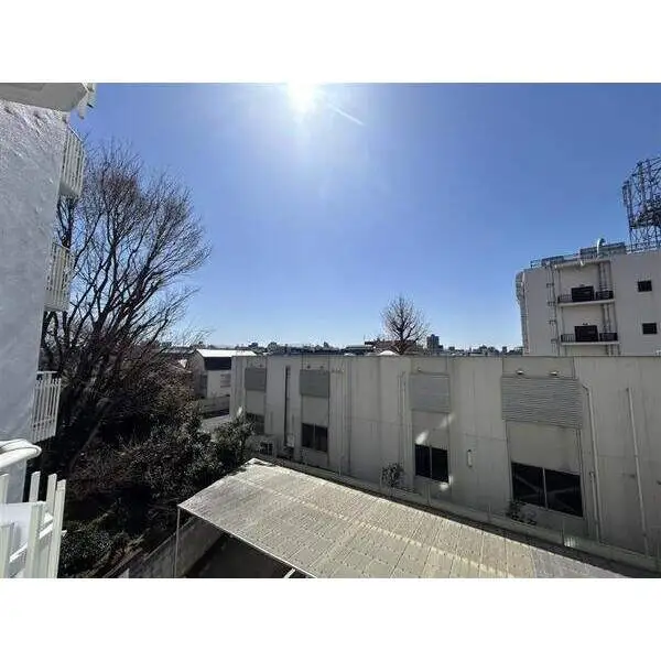 徳川マンション その他画像