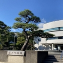 葉山エコーハイツ その他画像