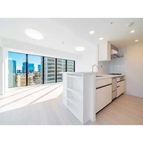 プレミストタワー白金高輪 その他画像