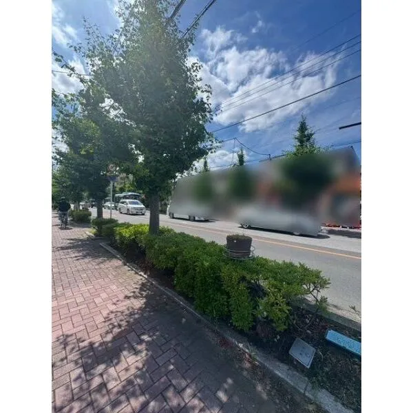 川口市前川4丁目 前面道路