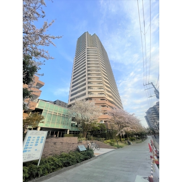 ライオンズタワー大島 外観