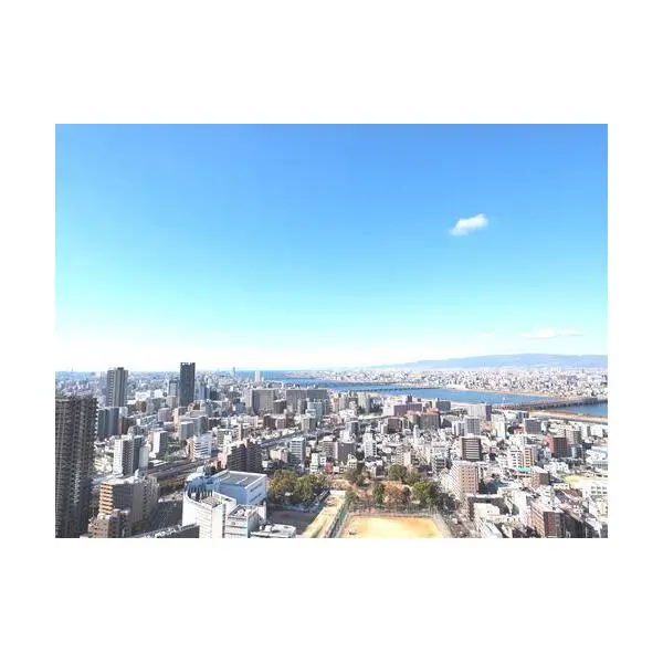 グランドメゾン新梅田タワー その他画像