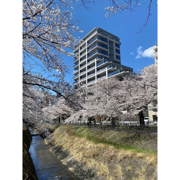 ライオンズ多摩センターステーションブライト 外観