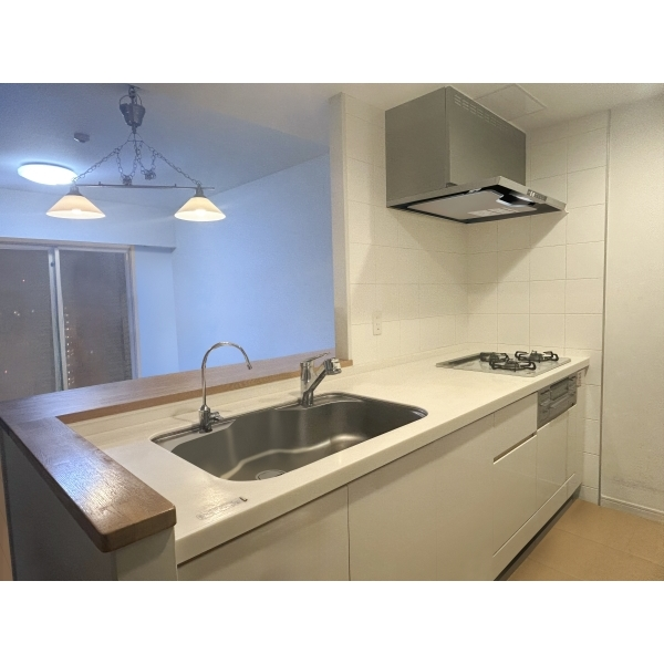 コスモひばりが丘ザ・ガーデンズフォート その他画像