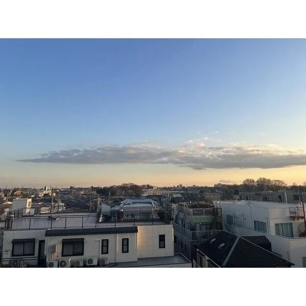 ザ・パークハウス保谷レジデンス その他画像