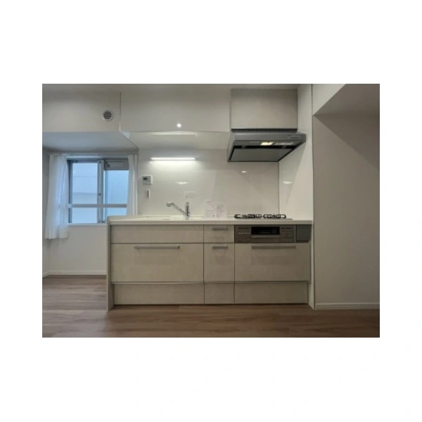 ライオンズマンション中野弥生町 キッチン