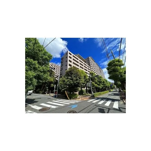 ヒルズ久が原１番館 その他画像