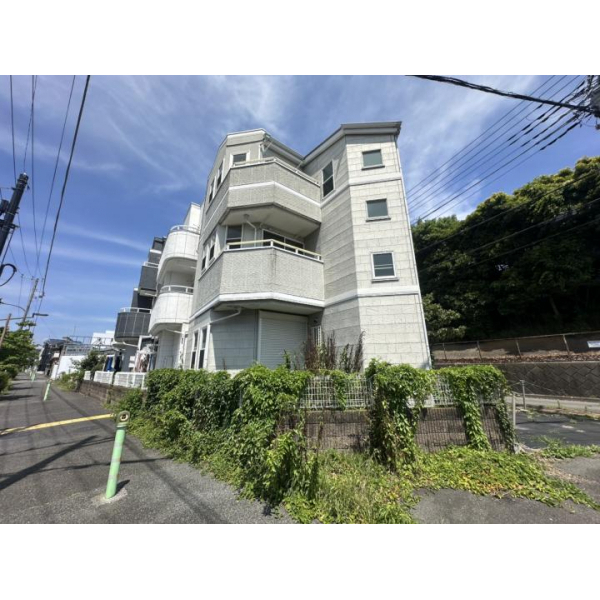 府中市是政２丁目 その他画像