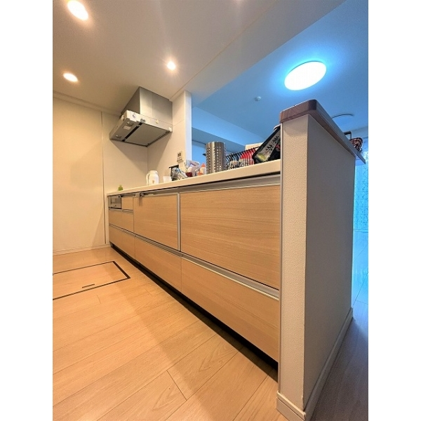 ブリリアアーブリオ戸塚 その他画像