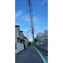 中野区中央２丁目 前面道路