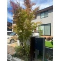 習志野市実籾本郷 その他画像