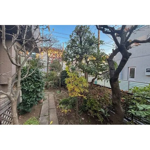 杉並区宮前２丁目 【外観】庭