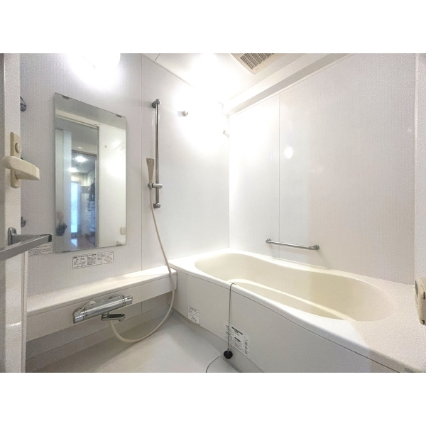 ブランアーク鳩ケ谷クレアトール その他画像