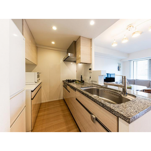 リビオ新宿ザ・レジデンス その他画像