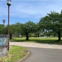 コスモスパジオ東大島 大島・小松川公園スポーツ広場（公園）まで約510m（徒歩7分）